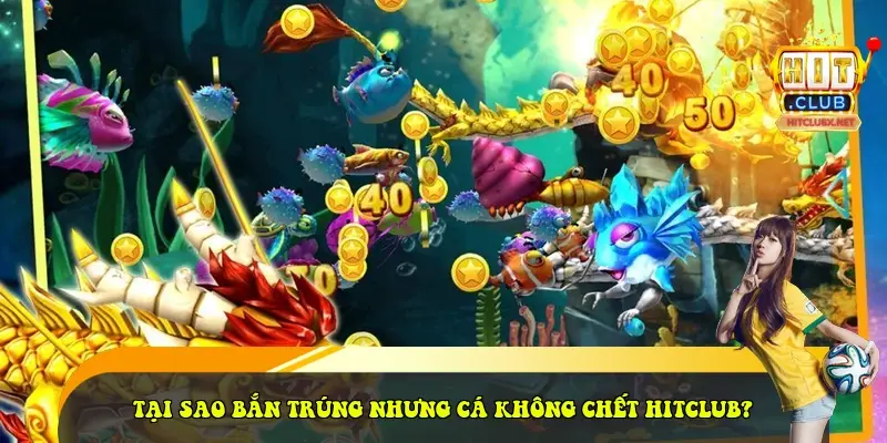 Tại Sao Bắn Trúng Nhưng Cá Không Chết HitClub?